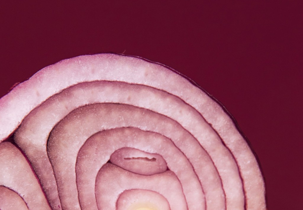 The inside of an onion is more complicated than people think - there are multiple things happening in the same way that there are multiple things happening for your customers as they journey with your brand.