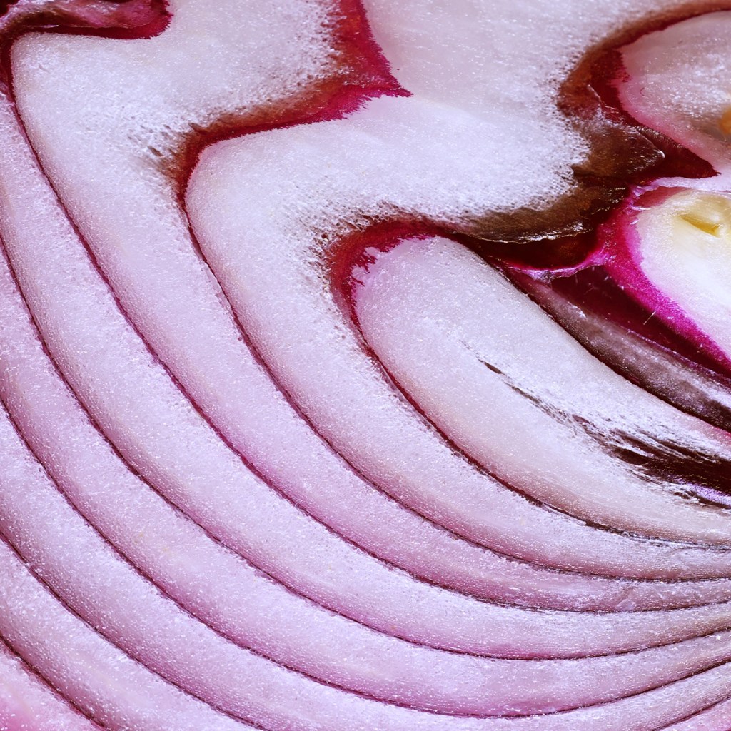 Details of onion interior, shows the differences within every section - this complex structure needs to be understood just like any businesses customers.